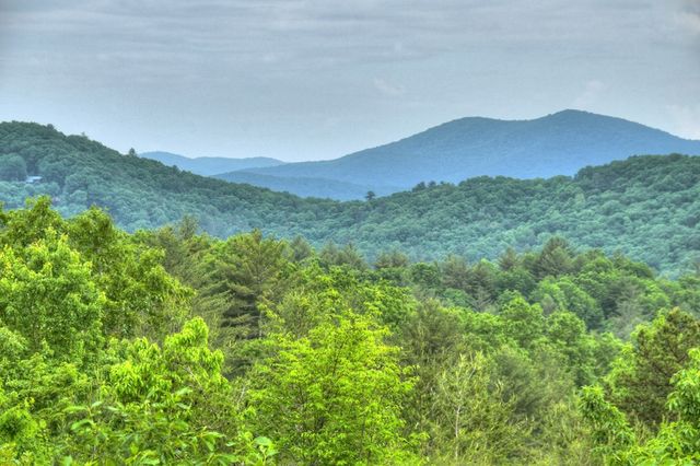 436 Geronimo Road, Blue Ridge, GA 30513