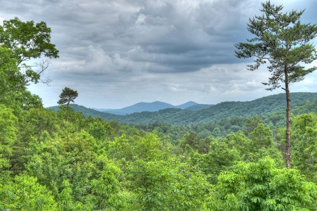 436 Geronimo Road, Blue Ridge, GA 30513