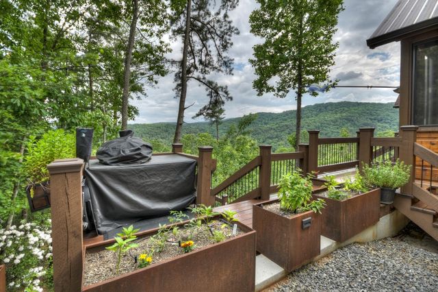 436 Geronimo Road, Blue Ridge, GA 30513