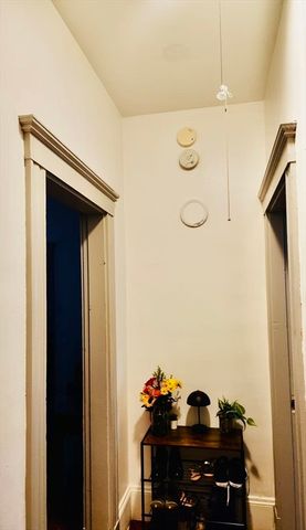 5 Cooney St 3, Somerville, MA 02143