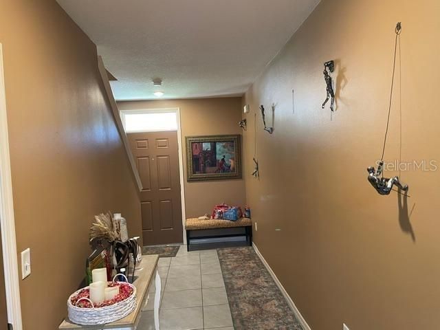 9019 WATER CHESTNUT DRIVE, Tampa, FL 33637