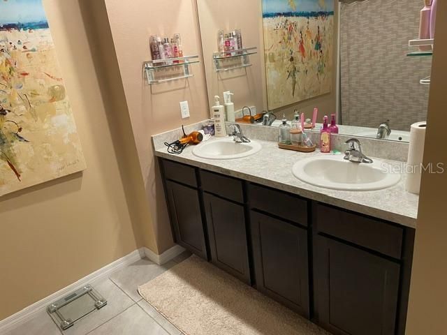 9019 WATER CHESTNUT DRIVE, Tampa, FL 33637