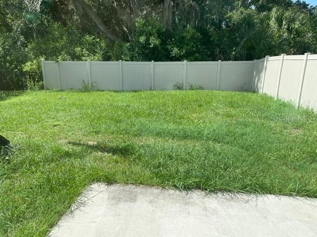 9019 WATER CHESTNUT DRIVE, Tampa, FL 33637