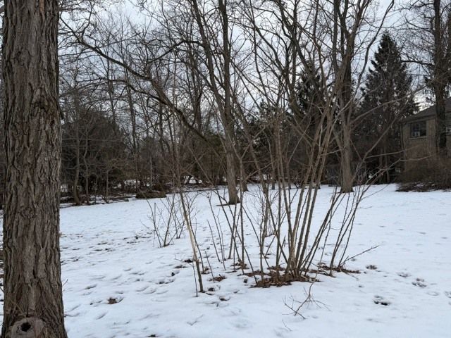 1851 Cooper Lane, Highland Park, IL 60035