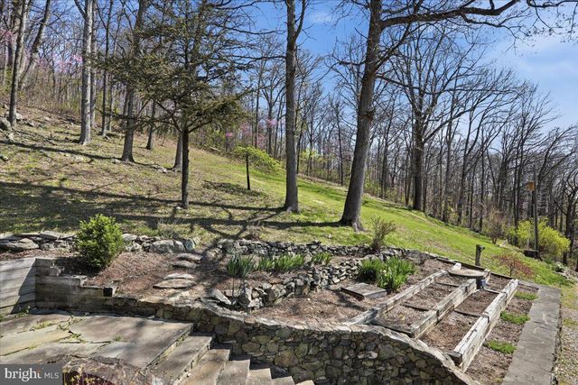 19897 FOREST HILL LN, Bluemont, VA 20135