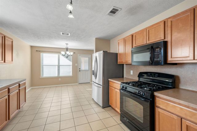 17211 Osprey Landing Drive, Hockley, TX 77447