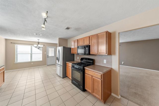 17211 Osprey Landing Drive, Hockley, TX 77447