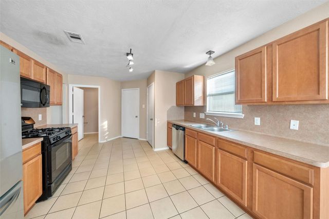 17211 Osprey Landing Drive, Hockley, TX 77447