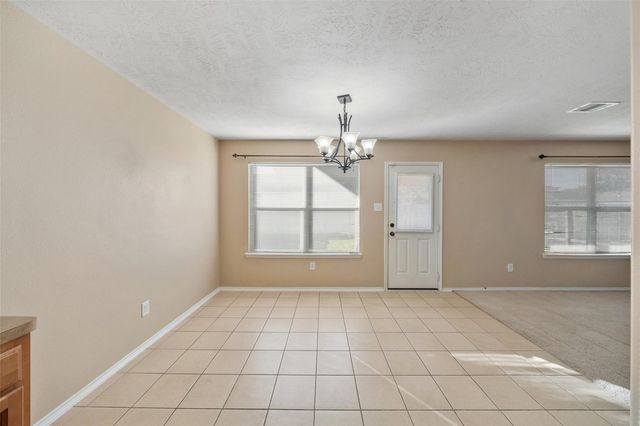 17211 Osprey Landing Drive, Hockley, TX 77447