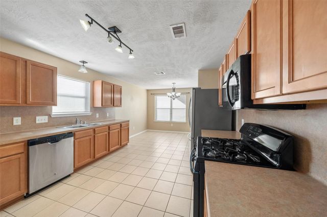 17211 Osprey Landing Drive, Hockley, TX 77447