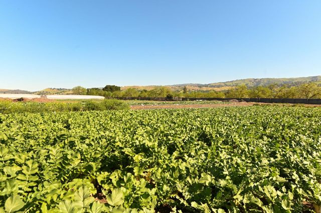 1600 Barrett Avenue, Morgan Hill, CA 95037