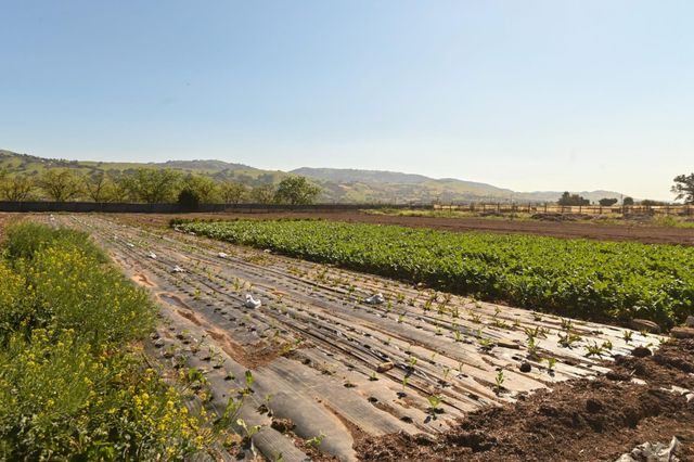1600 Barrett Avenue, Morgan Hill, CA 95037
