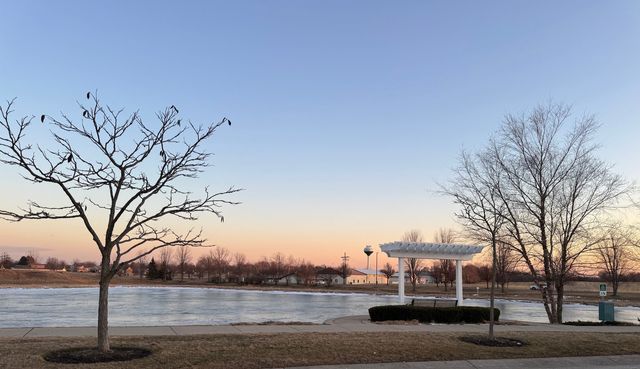 10037 Cummings Street 503, Huntley, IL 60142