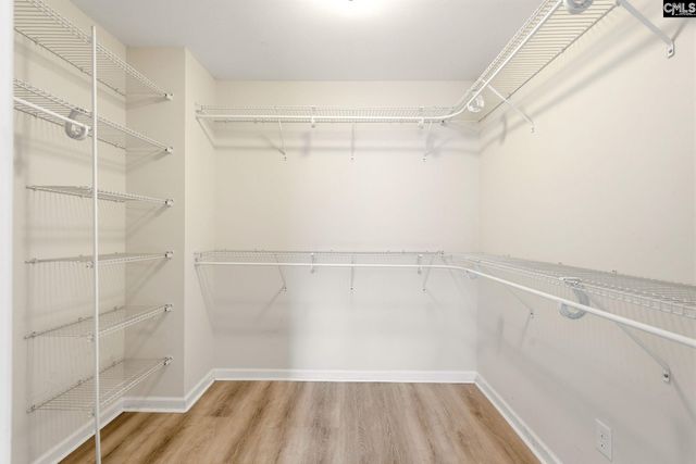 105 Autumn Stroll Court, Lexington, SC 29072