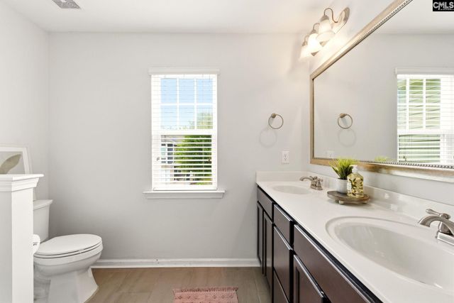 105 Autumn Stroll Court, Lexington, SC 29072