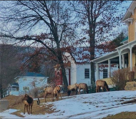 7227 3rd Street, Gibson, PA 15832