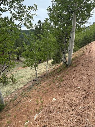 1600 Pikes Peak Drive, Divide, CO 80814