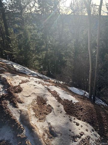 1600 Pikes Peak Drive, Divide, CO 80814