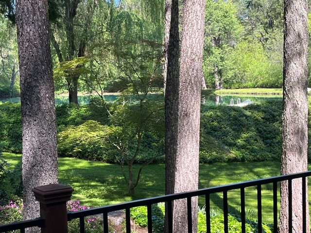 409 Live Oak Rd, Colfax, CA 95713