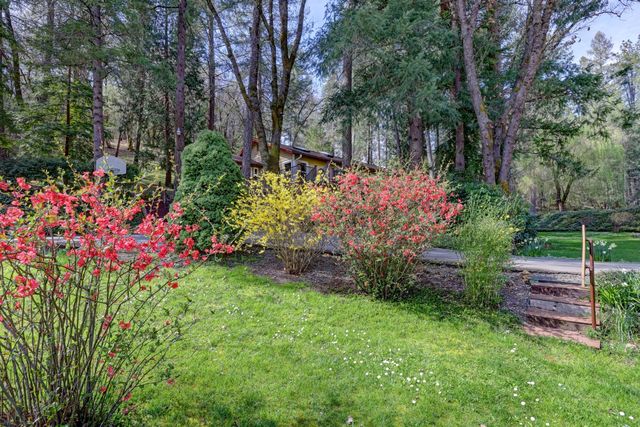 409 Live Oak Rd, Colfax, CA 95713