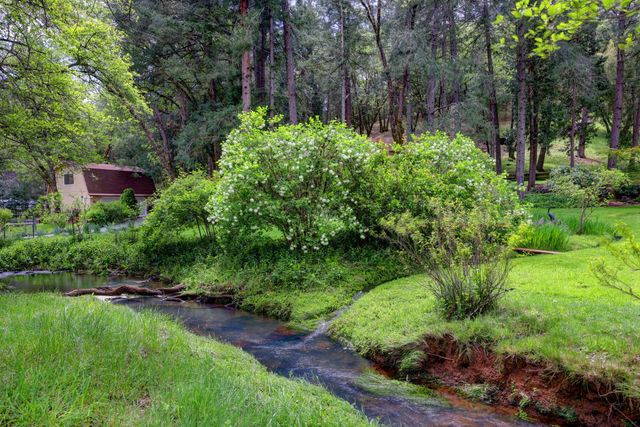 409 Live Oak Rd, Colfax, CA 95713