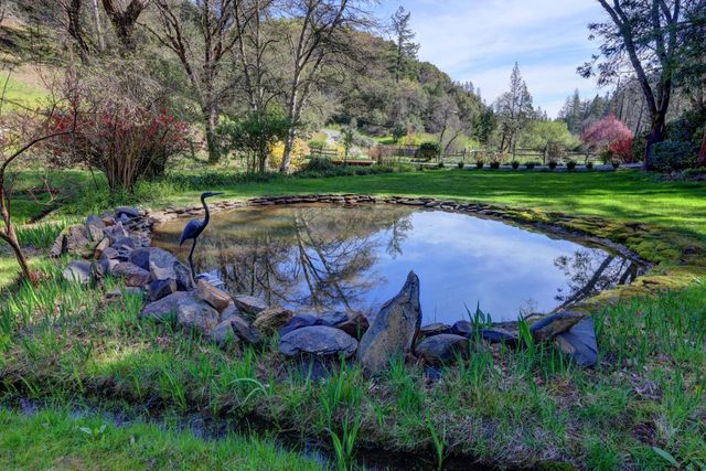 409 Live Oak Rd, Colfax, CA 95713