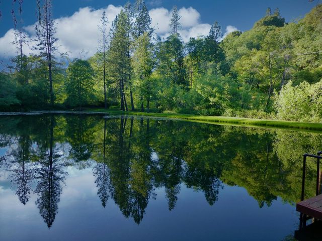 409 Live Oak Rd, Colfax, CA 95713