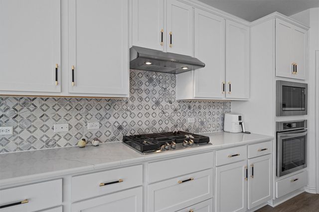 17429 Autumn Falls DR, Manor, TX 78653