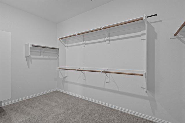 17429 Autumn Falls DR, Manor, TX 78653