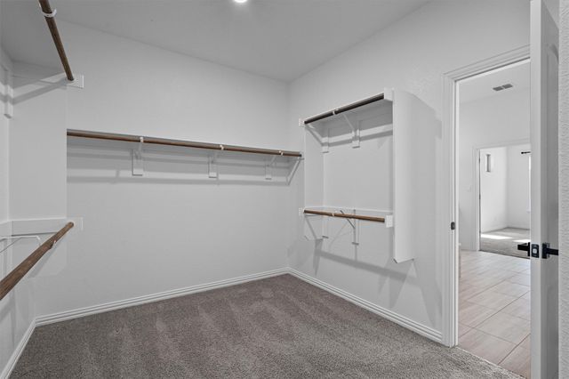 17429 Autumn Falls DR, Manor, TX 78653