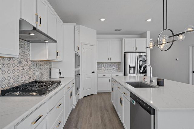 17429 Autumn Falls DR, Manor, TX 78653