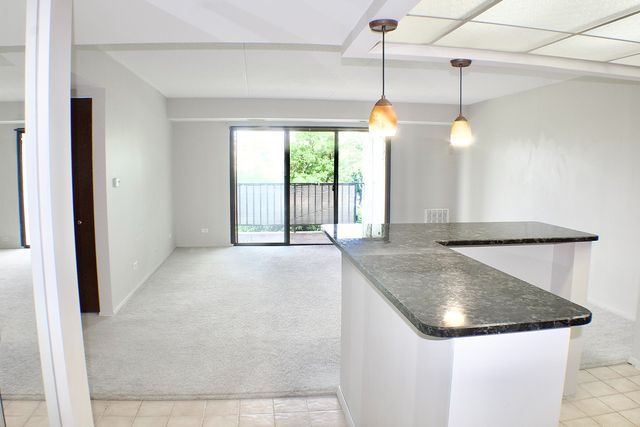 475 Plum Creek Drive 104, Wheeling, IL 60090