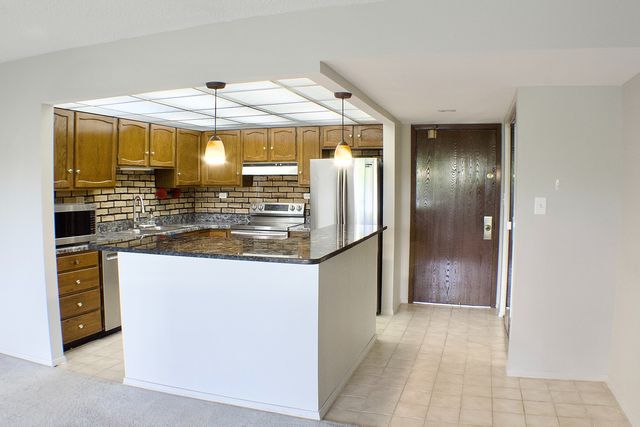 475 Plum Creek Drive 104, Wheeling, IL 60090