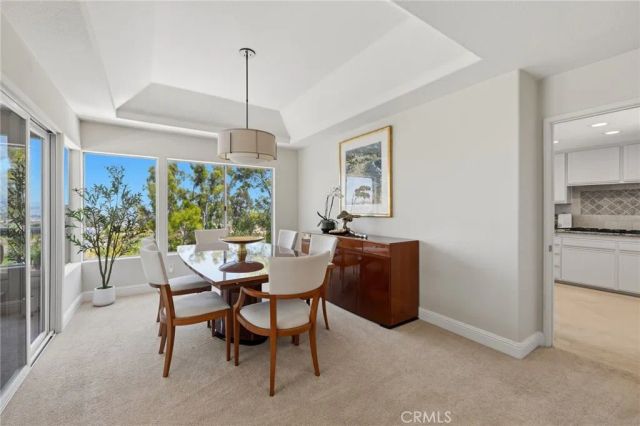 10 Toulon, Laguna Niguel, CA 92677