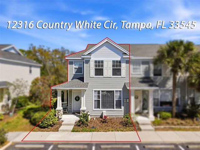 12316 COUNTRY WHITE CIRCLE, Tampa, FL 33635