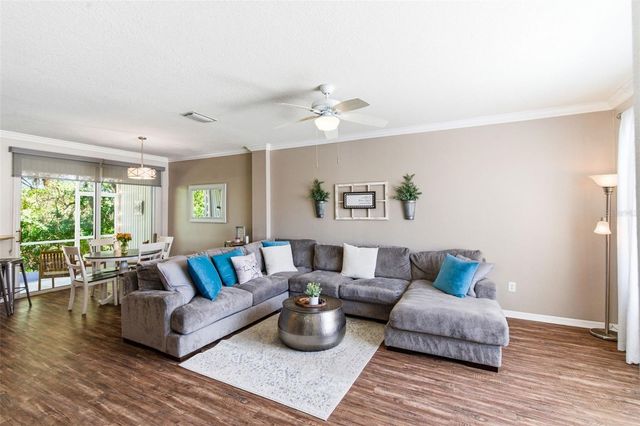 12316 COUNTRY WHITE CIRCLE, Tampa, FL 33635