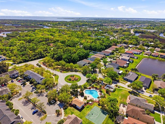 12316 COUNTRY WHITE CIRCLE, Tampa, FL 33635