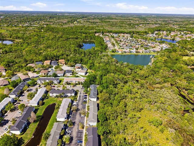 12316 COUNTRY WHITE CIRCLE, Tampa, FL 33635