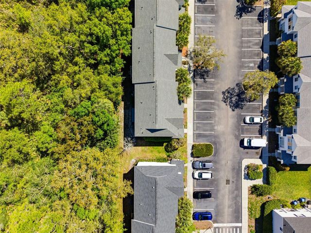 12316 COUNTRY WHITE CIRCLE, Tampa, FL 33635