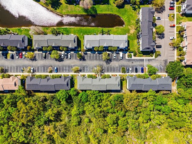 12316 COUNTRY WHITE CIRCLE, Tampa, FL 33635