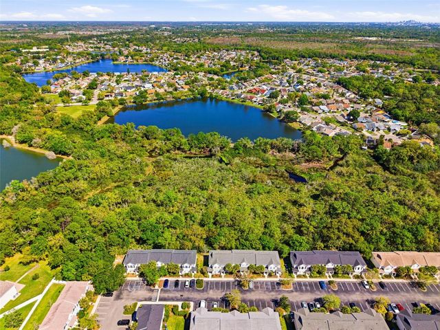 12316 COUNTRY WHITE CIRCLE, Tampa, FL 33635