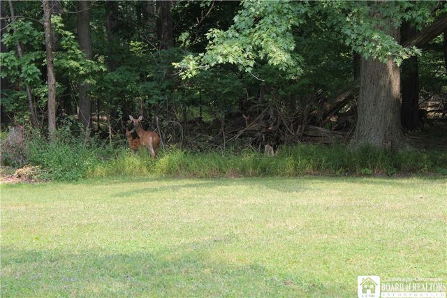 330 Central Avenue, Pomfret, NY 14063