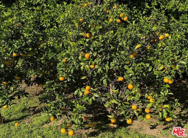 29752 Baden Place, Malibu, CA 90265