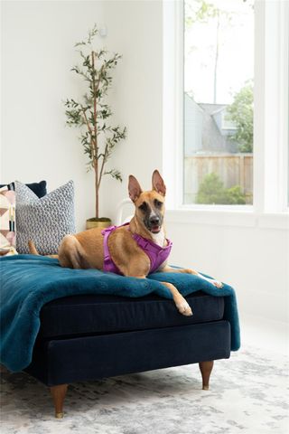 625 Piney Point Road, Houston, TX 77024