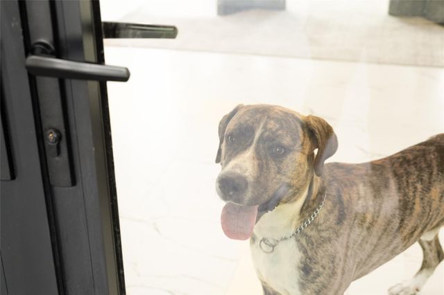 625 Piney Point Road, Houston, TX 77024