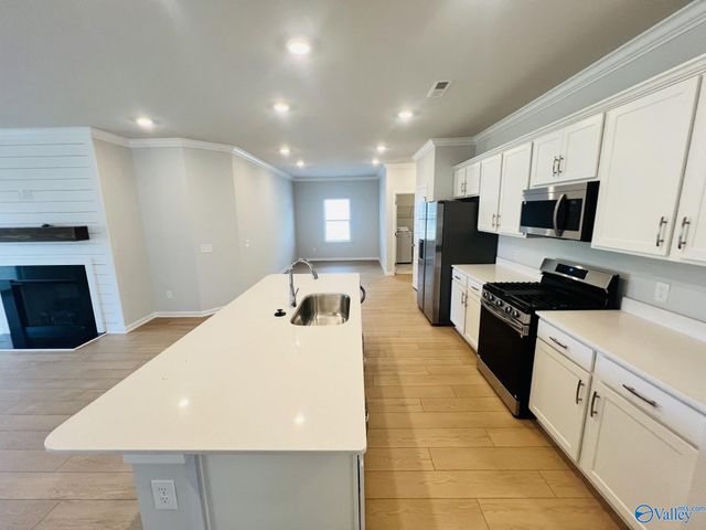 309 Susan Lynn Drive, Meridianville, AL 35759