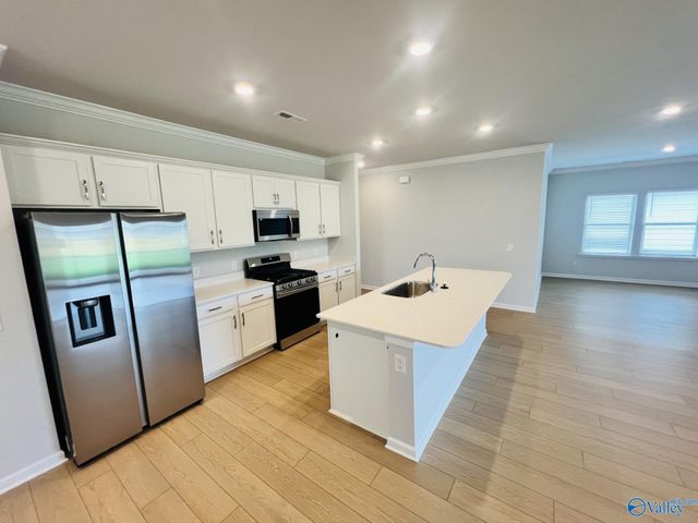 309 Susan Lynn Drive, Meridianville, AL 35759