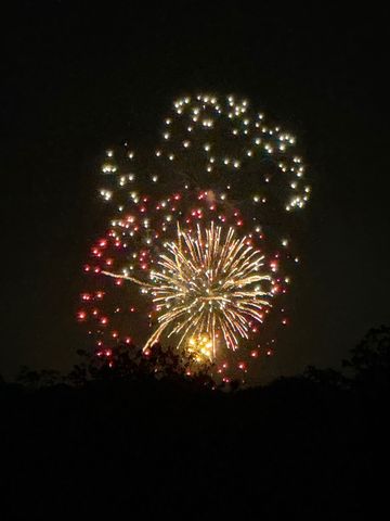 1132 Hemingway Lane, Irving, TX 75063