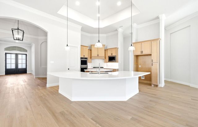 15724 Dandelion Dreams Street, Conroe, TX 77302