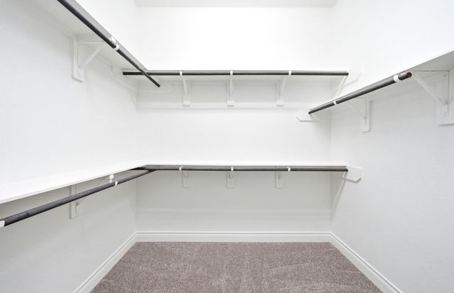 15724 Dandelion Dreams Street, Conroe, TX 77302